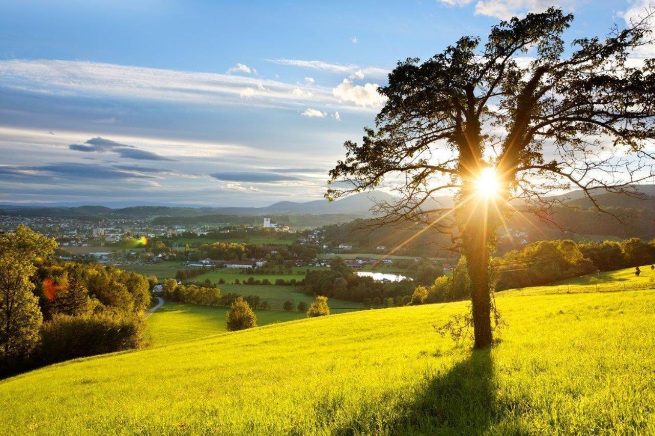 Apartmán Am Landschaweg *